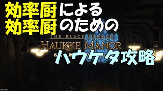 【レベルレ】効率厨による効率厨のためのハウケタ攻略