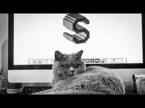 For the Culture: Feat. Stu Leel of Shredder Zine