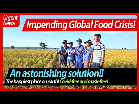 [English.영어]Doalnara Oasis Farm/Brazil, the new frontier for overseas farming/Organic farming/돌나라 오아시스