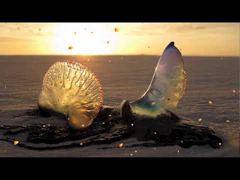 Old Timeless Gospel Hymns Classics