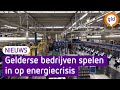 Gelderse bedrijven spelen in op energiecrisis