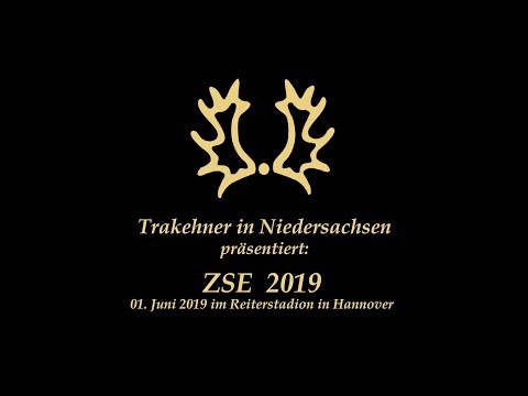 2019 TIN ZSE Video Trailer