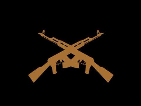 Fenix 1 (Primera versión) - Pacho 834