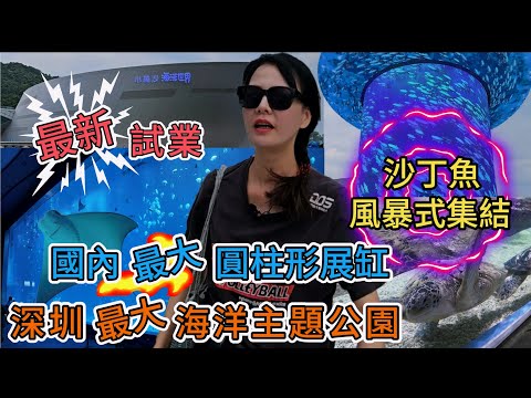 深圳小梅沙海洋世界🌸國慶試業💖國內最大的圓柱形展缸👍🏻深圳最大海洋主題公園🥳熱帶館😁極地館😇鯨豚館🤩海獅混養館💓青藍洞大廳👏🏻沙丁魚風暴式集結😀深圳地鐵2號8號線小梅沙站 A 出口☀深圳市鹽田區