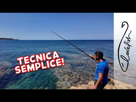 COME INIZIARE A PESCARE - LOVEFISH