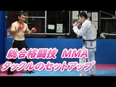 打撃からタックル MMAテイクダウン 総合格闘技 TAKEDOWN #MMA #総合格闘技 #タックル  #TAKEDOWN