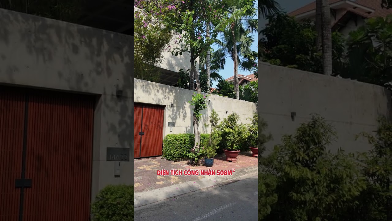 Ảnh đại diện Video