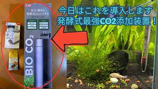 初心者アクアでGEX BIO CO2導入します！本格CO2添加開始！【30cmキューブ水槽