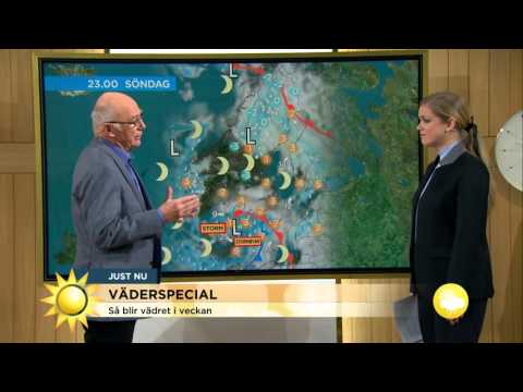Väderspecial: "Rejält stormigt väder" - Nyhetsmorgon (TV4)