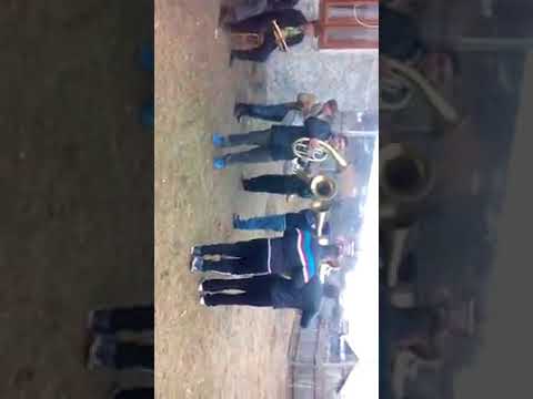 Fanfara din Chetris la Rotaria