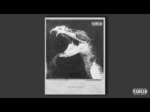 (FREE) Don Toliver x Young Thug x Saint Jhn Type Beat 2021 - Cactus Slatt