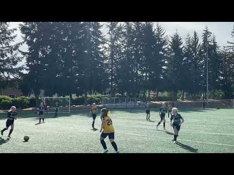 Valor G13 Gold vs Harbor Premier Green G13 9/17/22