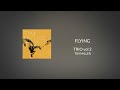 Tim Miller - "Flying"