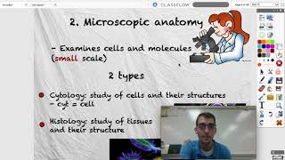 Anatomy vs. Physiology (Introduction to the Human Body) - Human Anatomy & Physiology