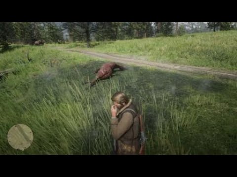 Red Dead Redemption 2 killing people + burning a horse