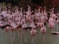 Some Of The Best TV Intros Of The 80s