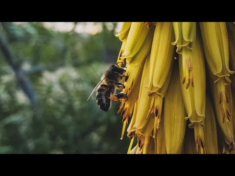 Jul x heuss l'enfoiré x Soolking x Type beat