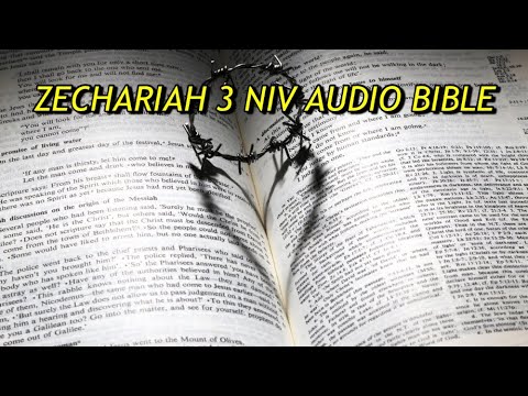 ZECHARIAH 3 NIV AUDIO BIBLE(with text)