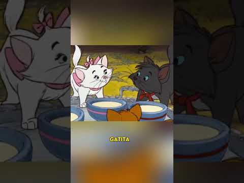 Aristogatos cuidados por millonaria #cats #gatos #michis #catslovers #aristogatos #cine #peliculas