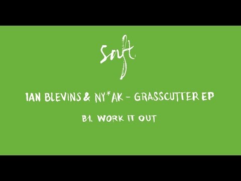 Ian Blevins & NY*AK - Work It Out [SAFT11]