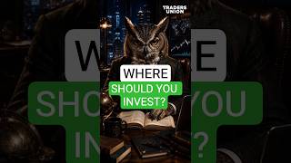 INVESTING for Beginners Explained | Gold, Crypto, Stocks or Real Estate — What Should You Choose?