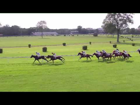 BA 21.5.2017 - Dostihy 4 - Cena Innovatora