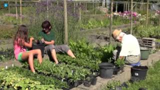 preview picture of video 'Baumschule u. Gartengestaltung Tobias Munz in Wertingen, Dillingen an der Donau'