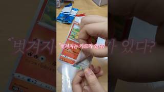 숨어있는 메타몽 찾기 #pokemoncards #pokemontcg #pokemon #포켓몬카드 #포켓몬카드깡 #포켓몬 #메타몽