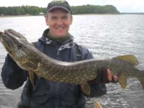 Team Adrenalin lite kort i film...