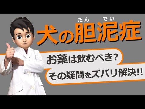 胆泥とは何か、症状、原因、治療法 - 健康ラボ