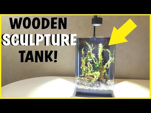 WOOD SCULPTURE PLANTED AQUARIUM SETUP / AQUASCAPE