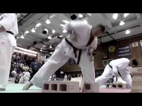 All American Open International Karate Championships 2016