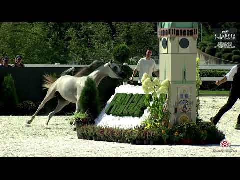 Prague  2023 Intercup   Class 2B