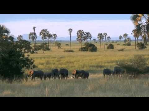 Liwonde National Park Malawi (Bart)