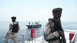 Bullshark 23-2