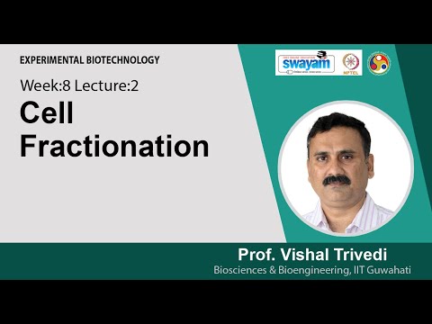 Experimental Biotechnology Intro Video