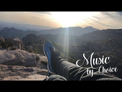 Sam Feldt x The Federal Empire - Shot By My Own Gun