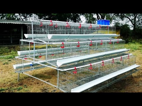Omega group zinc plating broiler chicken battery cage, for p...