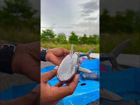 Remote Control Shark Unboxing & Testing