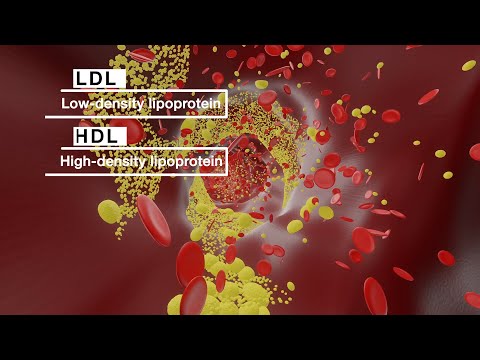 Mayo Clinic Minute: Best cooking fats for healthy cholesterol levels