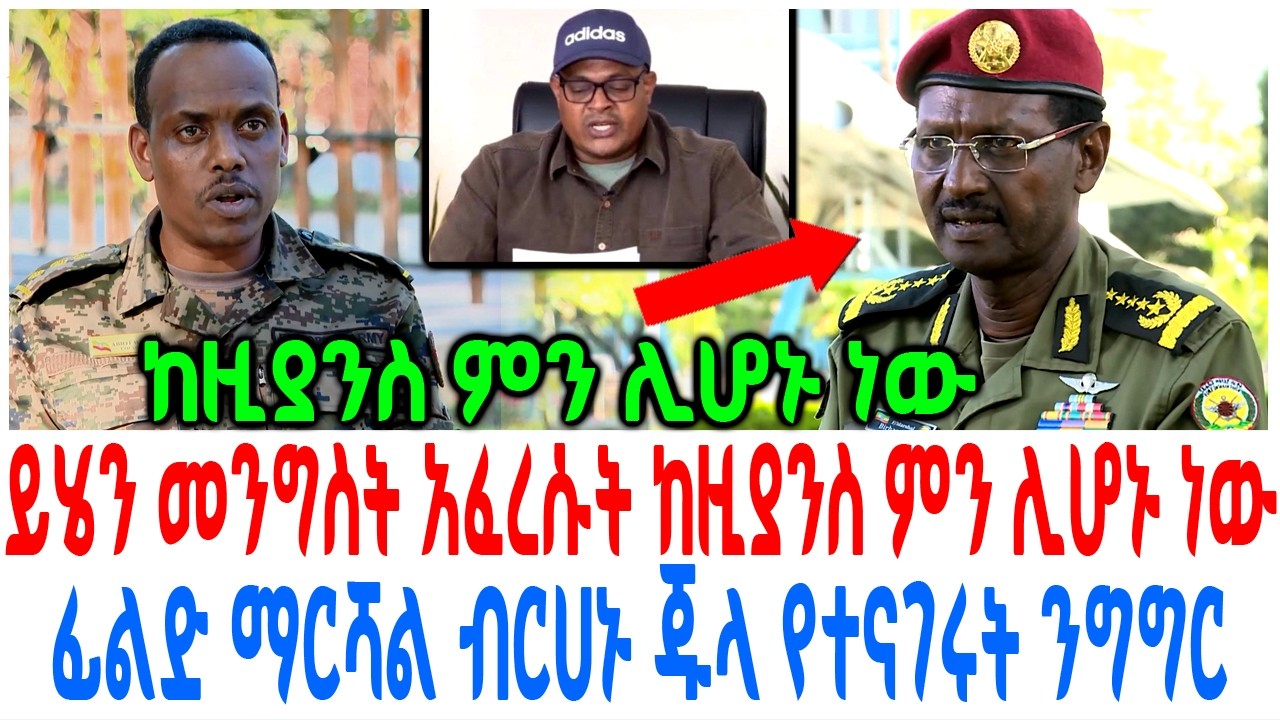 ይሄን መንግስት አፈረሱት እሺ ከዚያንስ ምን ሊሆኑ ነው ፊልድ ማርሻል ብርሀኑ ጁላ የተ?