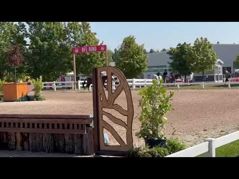 Cassadino video 2