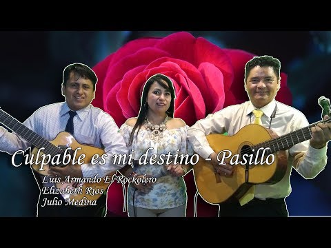 CULPABLE ES MI DESTINO - PASILLO | Elizabeth Rios