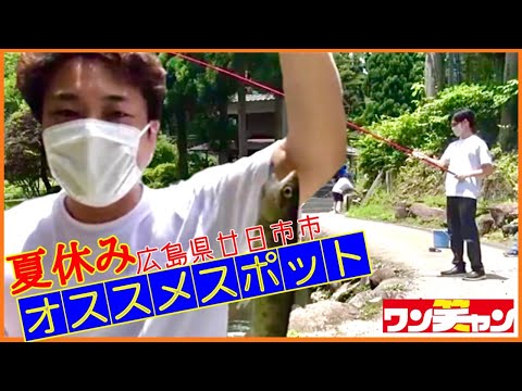 [Lugar de pesca] Recomendado para vacaciones de verano / Pesca en el estanque de pesca #Hiroshima #Pesca #Recomendado