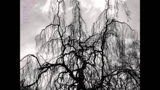 Colin Stetson & Sarah Neufeld -  Won't Be a Thing to Become