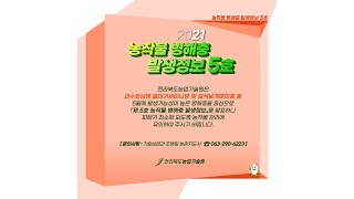 2021년 농작물 병해충 발생정보 5호 발표