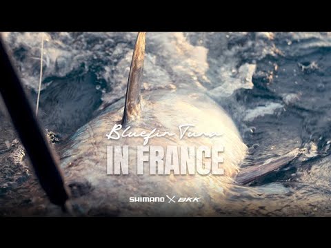 BKK x SHIMANO - Pêche au thon en Bretagne (avec TheFrenchFisherman)