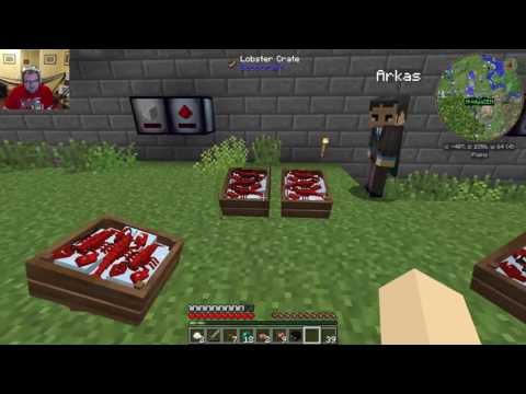 Mindcrack Crackpack Server - A Beautiful Home - E26