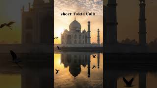 Download lagu ini dia fakta unik di balik Taj mahal......#faktaunik #faktadunia mp3