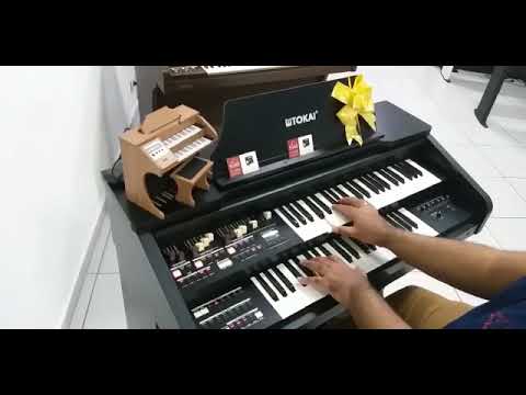 Orgão Eletrônico Tokai Md 20 - Loja Teclasom